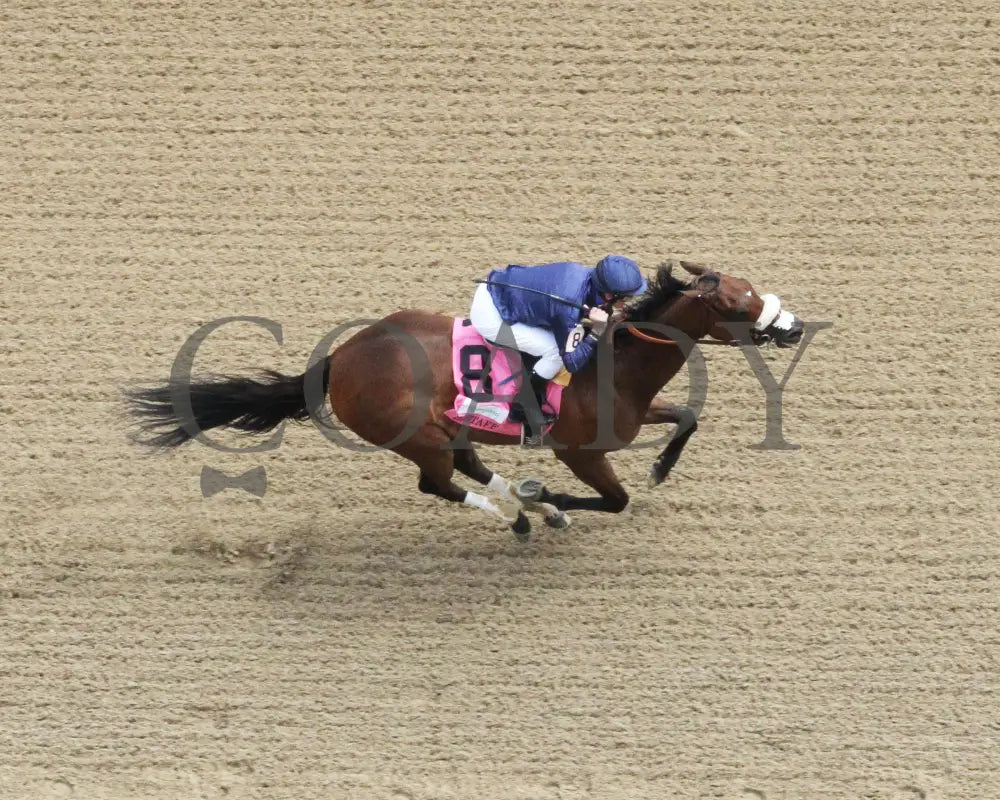 Taris - 050716 006 Churchill Downs