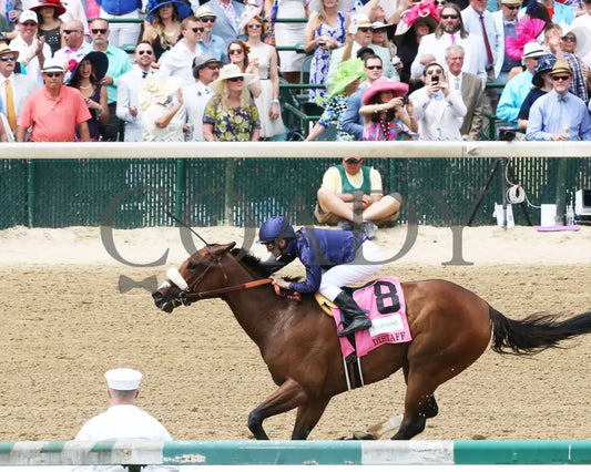 Taris - 050716 008 Churchill Downs