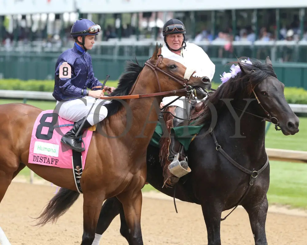 Taris - 050716 011 Churchill Downs