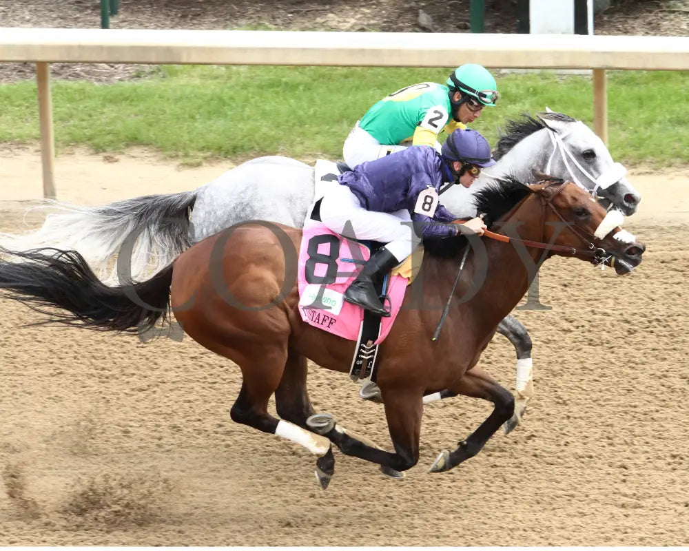 Taris - 050716 013 Churchill Downs