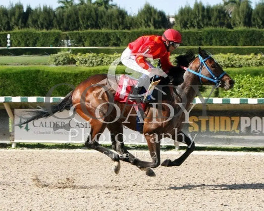 TASHIR - 030214 - Race 07 - CRC - Finish - Coady Media - Kurtis Coady Photography