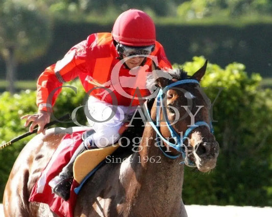 TASHIR - 030214 - Race 07 - CRC - Tight Finish - Coady Media - Kurtis Coady Photography