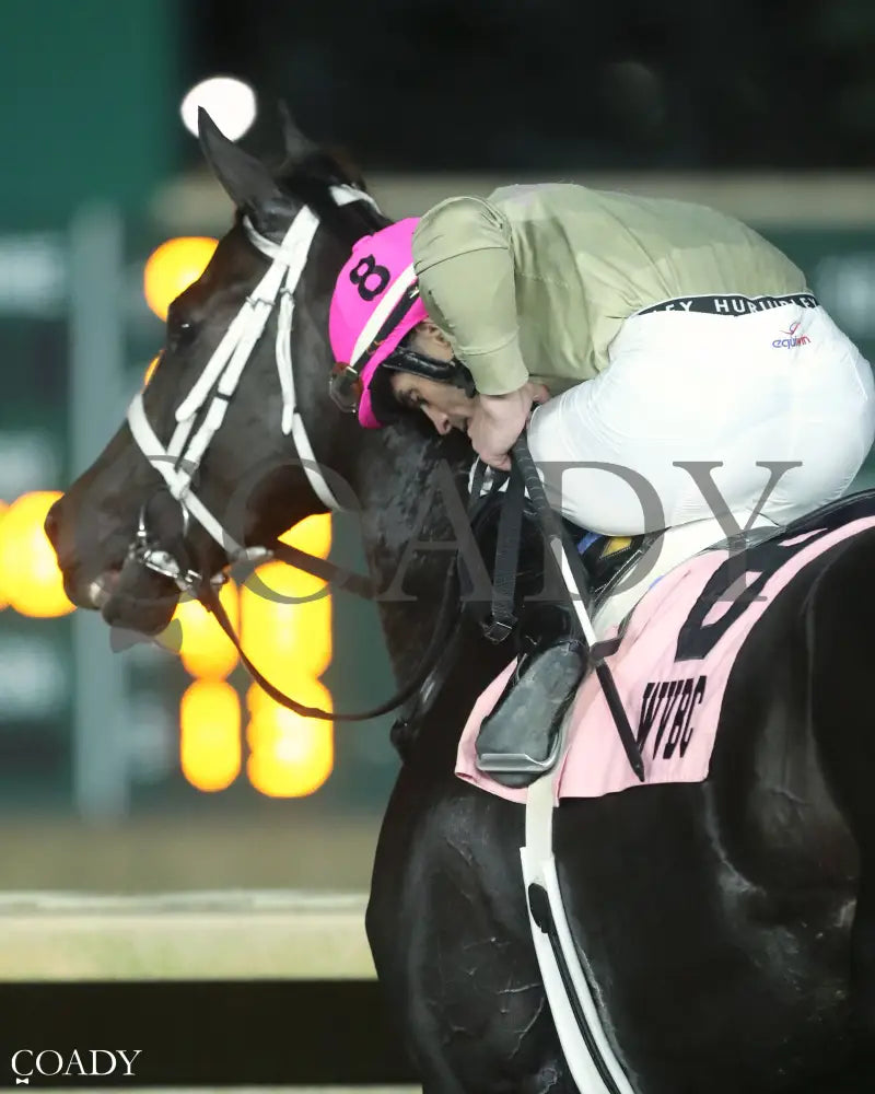 TEACHINTHERELEASE - 101125 - Race 09 - CT  The Sam Huff West Virginia Breeders' Classic Stakes - Come Back 02 - Coady Media - Kurtis Coady Photography