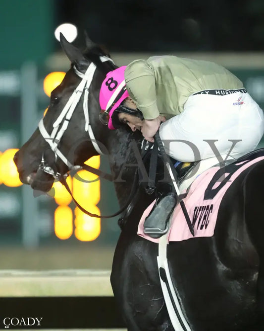 TEACHINTHERELEASE - 101125 - Race 09 - CT  The Sam Huff West Virginia Breeders' Classic Stakes - Come Back 02 - Coady Media - Kurtis Coady Photography