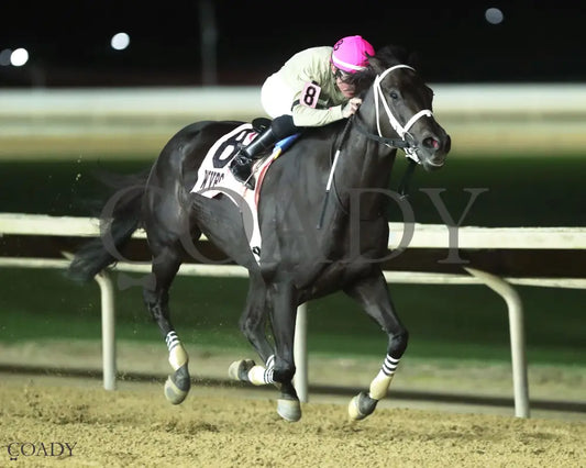 TEACHINTHERELEASE - 101125 - Race 09 - CT The Sam Huff West Virginia Breeders’ Classic Stakes - Finish 02 Hollywood