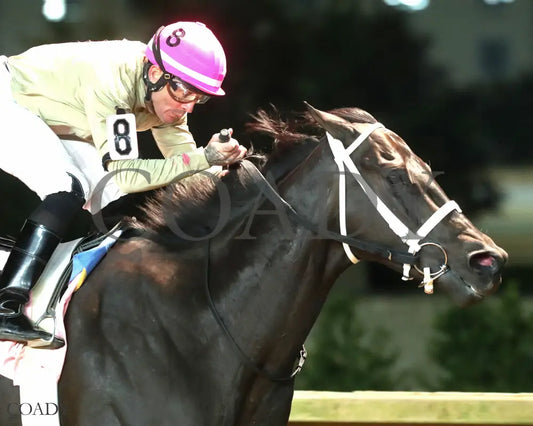 TEACHINTHERELEASE - 101125 - Race 09 - CT The Sam Huff West Virginia Breeders’ Classic Stakes - Finish 03 Hollywood
