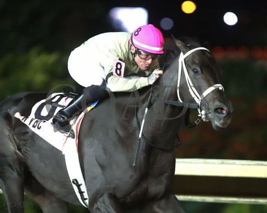 TEACHINTHERELEASE - 101125 - Race 09 - CT The Sam Huff West Virginia Breeders’ Classic Stakes - Finish 04 Hollywood