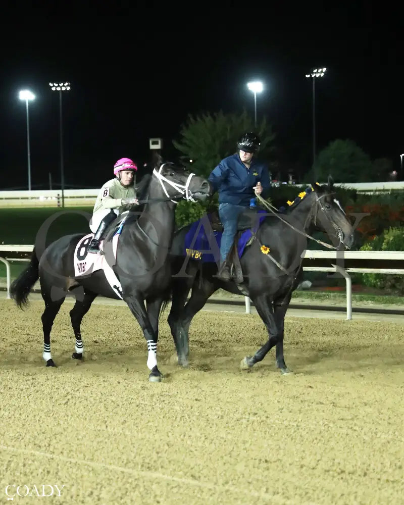 TEACHINTHERELEASE - 101125 - Race 09 - CT The Sam Huff West Virginia Breeders’ Classic Stakes - Post Parade 01