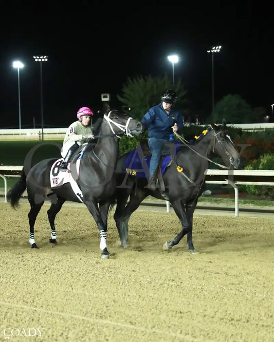 TEACHINTHERELEASE - 101125 - Race 09 - CT The Sam Huff West Virginia Breeders’ Classic Stakes - Post Parade 01
