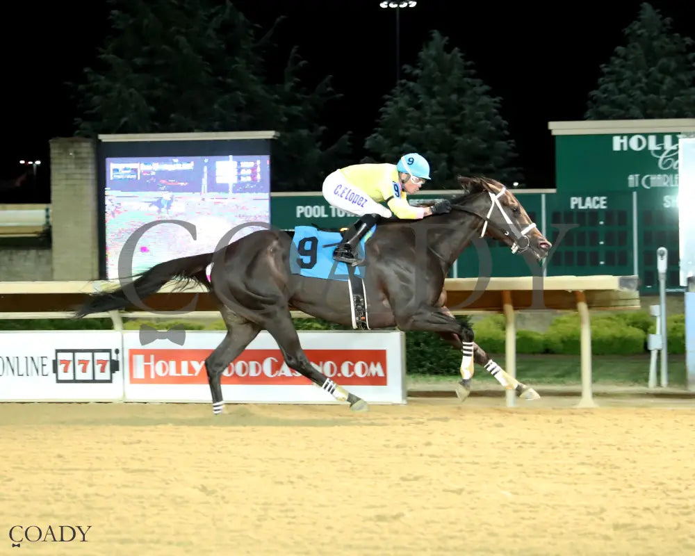 TEACHINTHERELEASE - Frank Gall Memorial Stakes - 08-22-25 - R13 - CT - Finish 01 Hollywood Casino at Charles Town Races