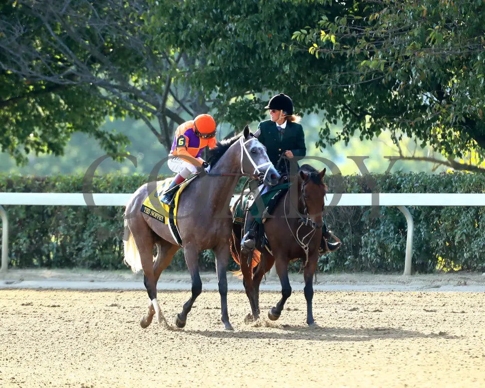 TED NOFFEY - 100425 - Race 09 - KEE - Come Back 01 Keeneland
