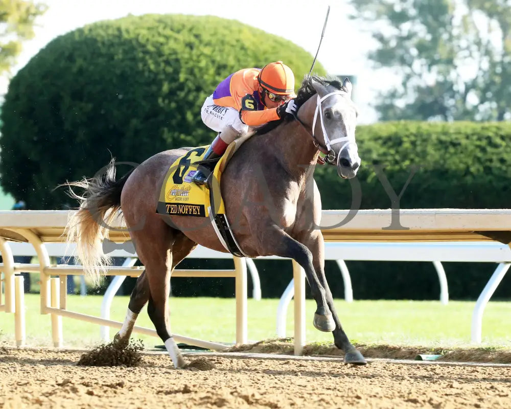 TED NOFFEY - 100425 - Race 09 - KEE - Finish 02 Keeneland