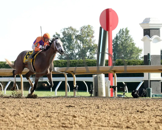 TED NOFFEY - 100425 - Race 09 - KEE - Finish 03 Keeneland