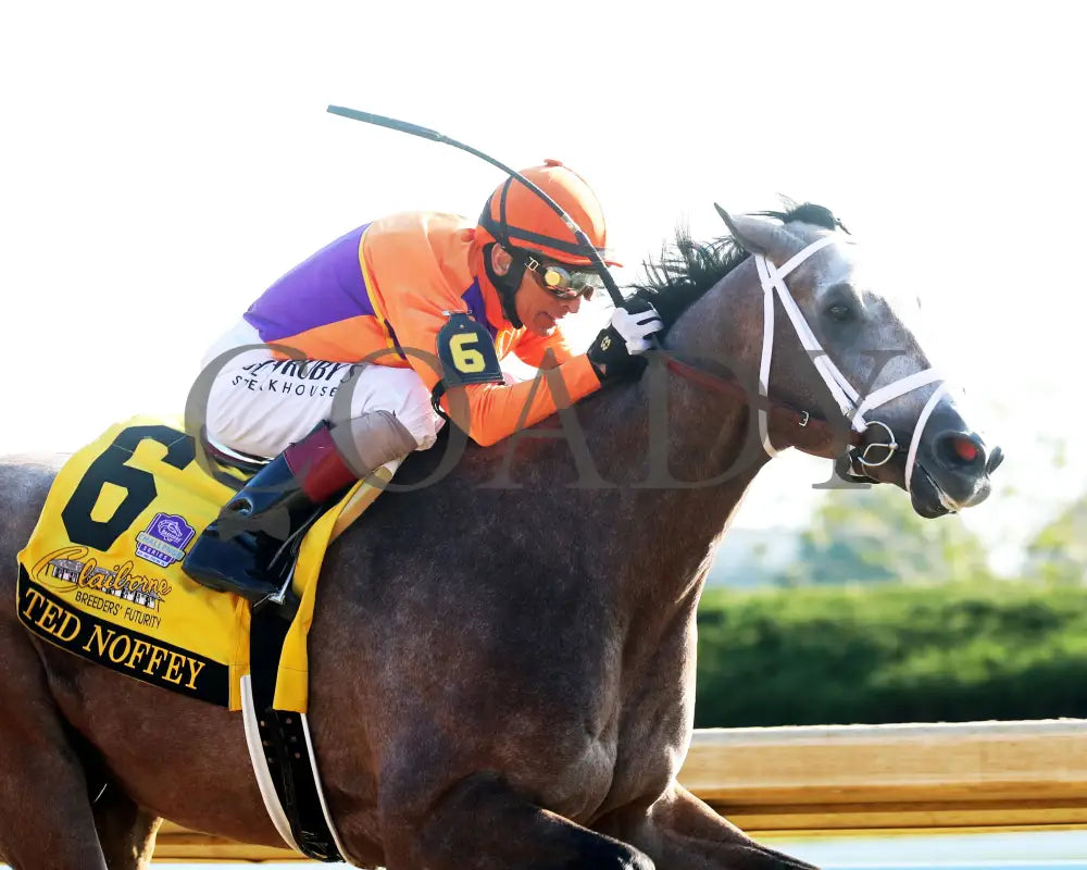 TED NOFFEY - 100425 - Race 09 - KEE - Finish 05 Keeneland