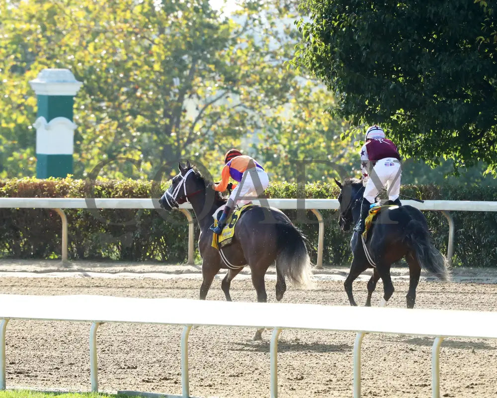 TED NOFFEY - 100425 - Race 09 - KEE - Gallop Out 01 Keeneland