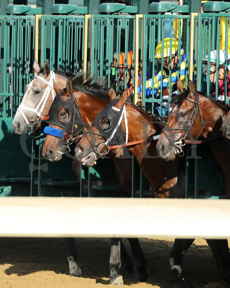 TED NOFFEY - 100425 - Race 09 - KEE - Start 01 Keeneland