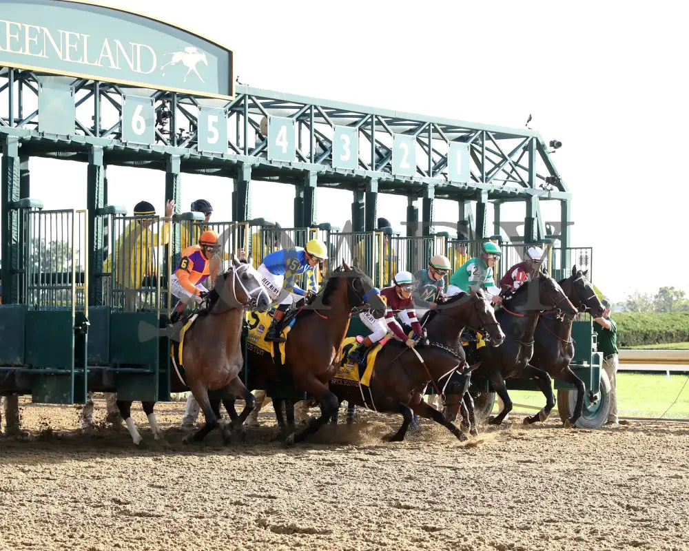 TED NOFFEY - 100425 - Race 09 - KEE - Start 04 Keeneland
