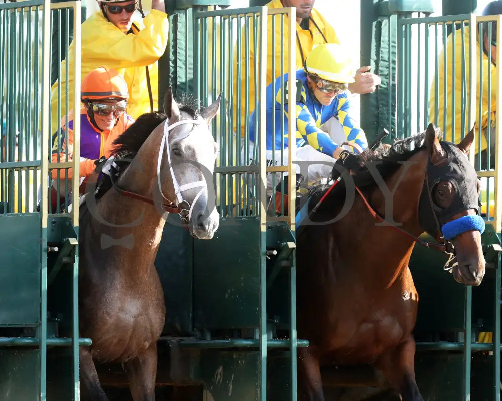 TED NOFFEY - 100425 - Race 09 - KEE - Start 05 Keeneland