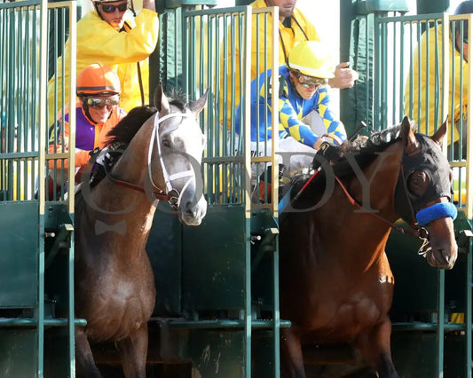 TED NOFFEY - 100425 - Race 09 - KEE - Start 05 Keeneland