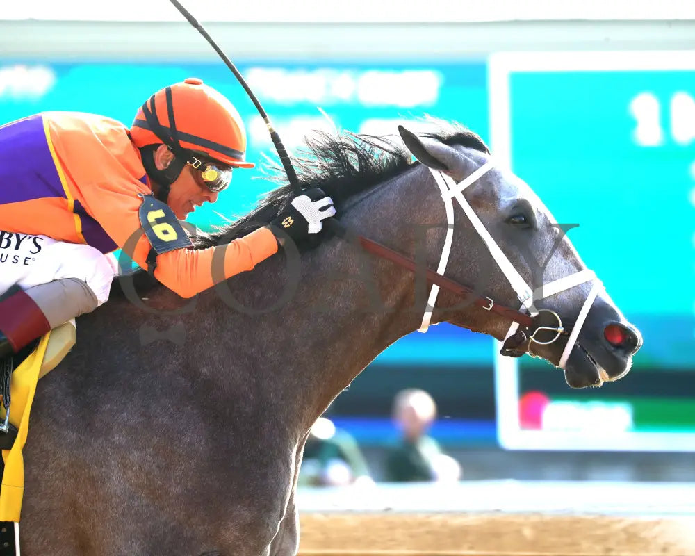 TED NOFFEY - 100425 - Race 09 - KEE - Tight Finish 01 Keeneland