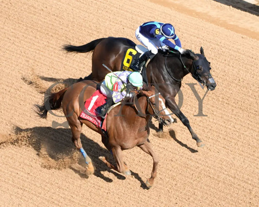 Tejano Twist - The King Cotton Stakes 75Th Running 01-25-25 R05 Op Aerial Finish 01 Oaklawn Park