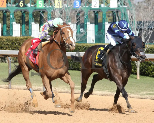 Tejano Twist - The King Cotton Stakes 75Th Running 01-25-25 R05 Op Finish 02 Oaklawn Park