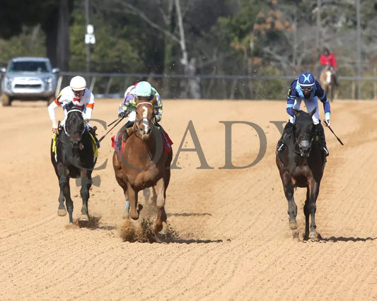 Tejano Twist - The King Cotton Stakes 75Th Running 01-25-25 R05 Op Head On 01 Oaklawn Park