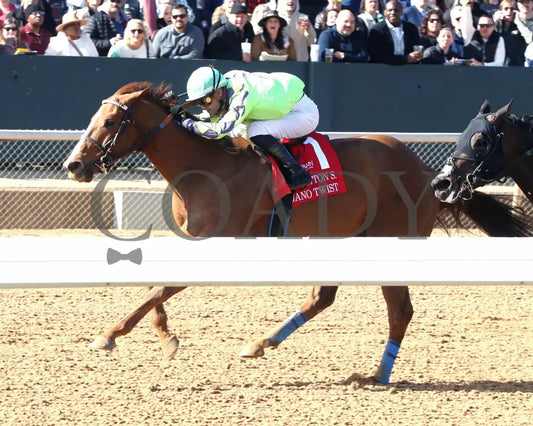 Tejano Twist - The King Cotton Stakes 75Th Running 01-25-25 R05 Op Inside Finish 01 Oaklawn Park