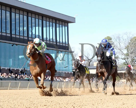 Tejano Twist - The King Cotton Stakes 75Th Running 01-25-25 R05 Op Under Rail 01 Oaklawn Park