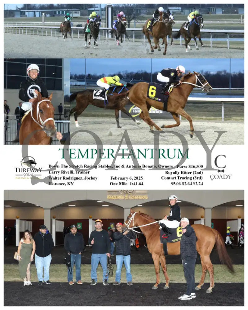 Temper Tantrum - 02-06-25 R01 Tp Turfway Park