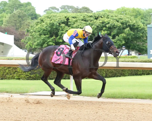 Tempt Fate - The Arkansas Breeders’ Championship 3Rd Running 04-30-21 R10 Op Finish 01 Oaklawn Park