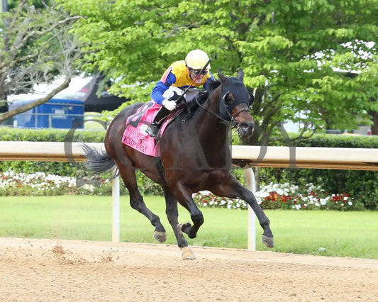 Tempt Fate - The Arkansas Breeders’ Championship 3Rd Running 04-30-21 R10 Op Finish 02 Oaklawn Park