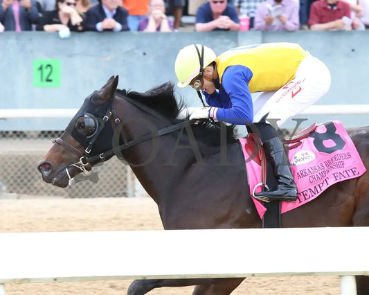 Tempt Fate - The Arkansas Breeders’ Championship 3Rd Running 04-30-21 R10 Op Inside Finish 01
