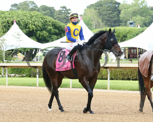 Tempt Fate - The Arkansas Breeders’ Championship 3Rd Running 04-30-21 R10 Op Post Parade 01