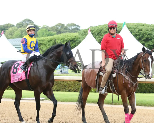 Tempt Fate - The Arkansas Breeders’ Championship 3Rd Running 04-30-21 R10 Op Post Parade 02
