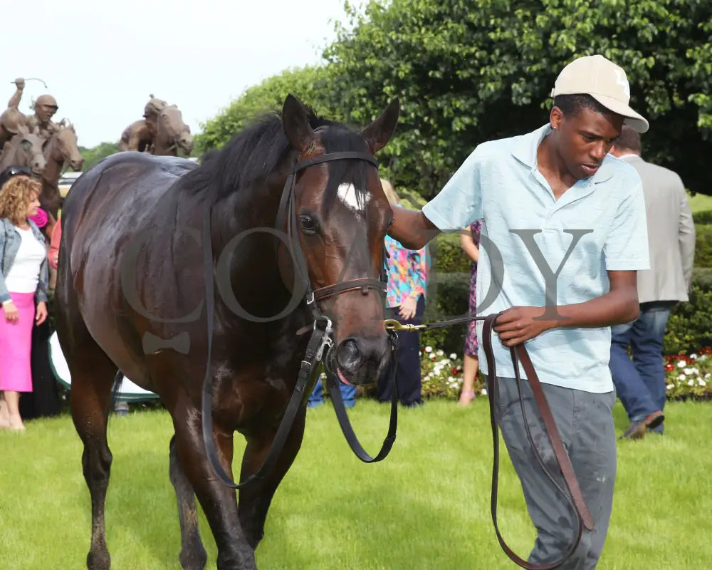 Tempt Fate - The Arkansas Breeders’ Championship 3Rd Running 04-30-21 R10 Op Post Race 01 Oaklawn