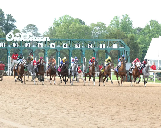 Tempt Fate - The Arkansas Breeders’ Championship 3Rd Running 04-30-21 R10 Op Start 01 Oaklawn Park