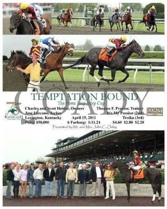 Temptation Bound - The Fawn Leap Julep Cup 04151 Keeneland