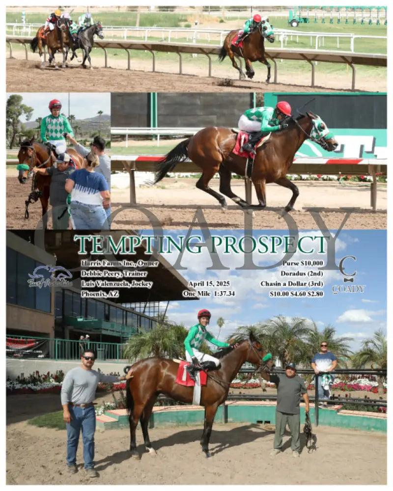 TEMPTING PROSPECT - 04-15-25 - R06 - TUP Turf Paradise