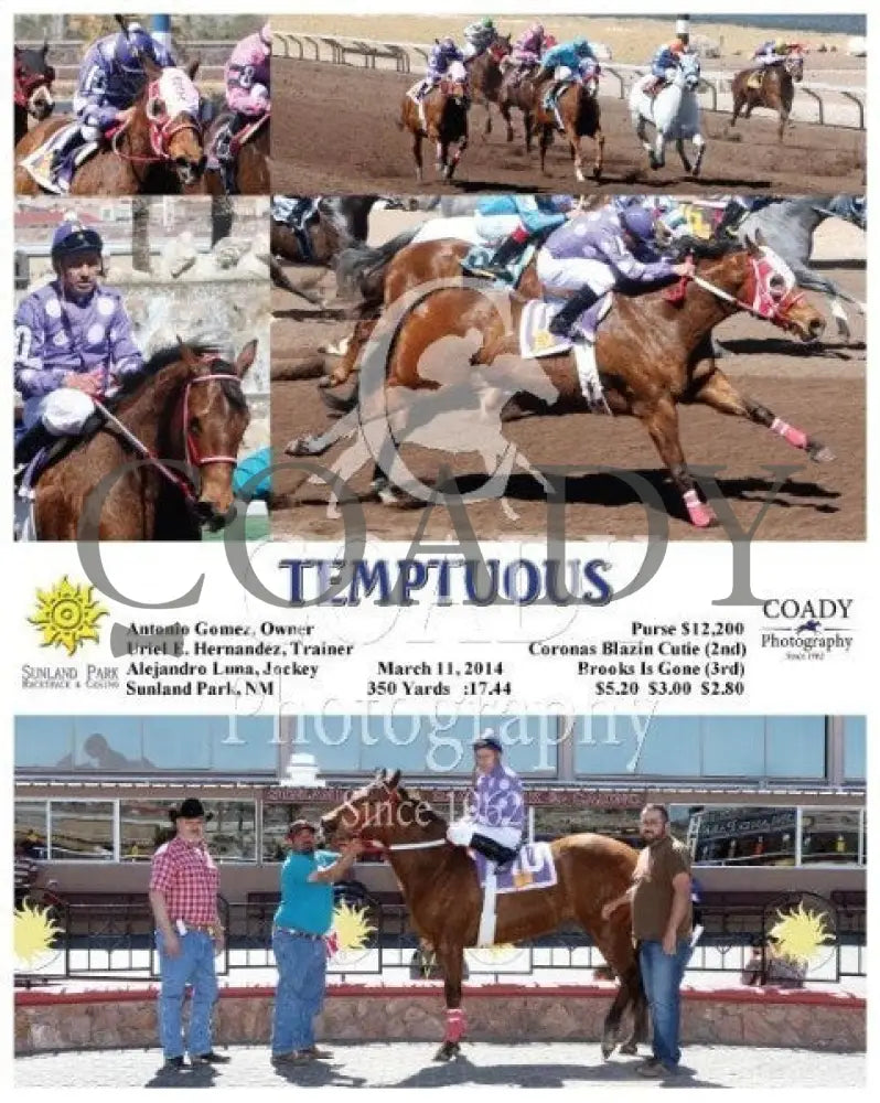 Temptuous - 031114 Race 03 Sun Sunland Park