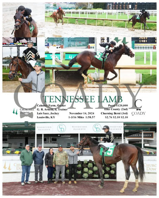 Tennessee Lamb - 11-14-24 R02 Cd Churchill Downs