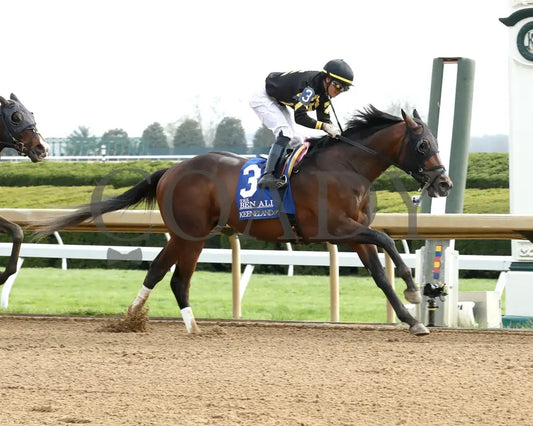 TENNESSEE LAMB - The Ben Ali G3 - 04-19-25 - R10 - KEE - Finish 02 Keeneland