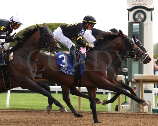 TENNESSEE LAMB - The Ben Ali G3 - 04-19-25 - R10 - KEE - First Pass 01 Keeneland