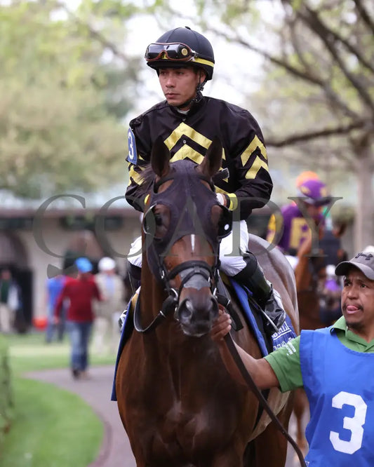 TENNESSEE LAMB - The Ben Ali G3 - 04-19-25 - R10 - KEE - Paddock 01 Keeneland