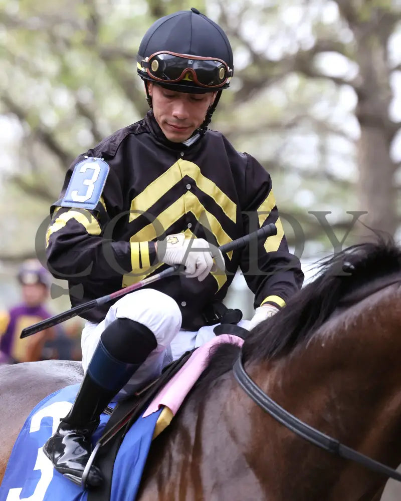 TENNESSEE LAMB - The Ben Ali G3 - 04-19-25 - R10 - KEE - Paddock 02 Keeneland