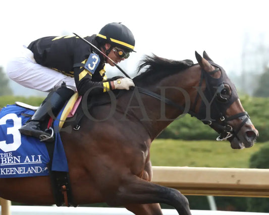 TENNESSEE LAMB - The Ben Ali G3 - 04-19-25 - R10 - KEE - Tight Finish 01 Keeneland