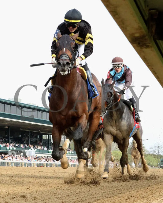 TENNESSEE LAMB - The Ben Ali G3 - 04-19-25 - R10 - KEE - Under Rail 01 Keeneland