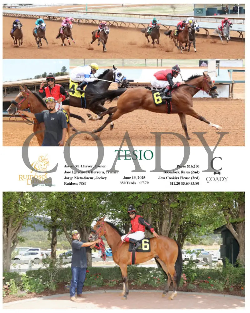 TESIO - 06-13-25 - R06 - RUI Ruidoso Downs