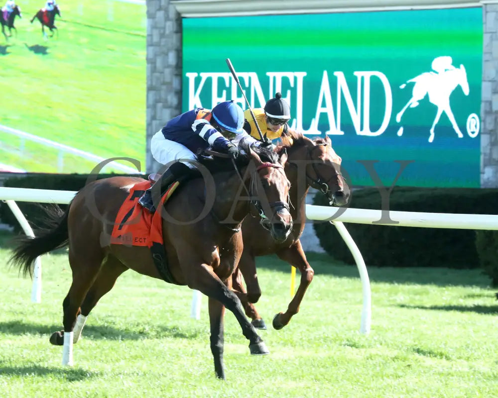 TEST SCORE - The Transylvania Presented by Keeneland Select - 04-07-25 - R08 - KEE - Finish 03 Keeneland