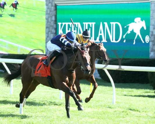 TEST SCORE - The Transylvania Presented by Keeneland Select - 04-07-25 - R08 - KEE - Finish 03 Keeneland